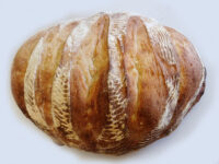 Rustic Bread or Baguettes Oval loaf of Rustic Bread or Baguettes with diagonal slashes and flour dusting on white surface.
