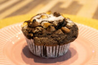 Chocolate Muffins A single Chocolate Muffin from a batch of Chocolate Muffins, topped with chocolate chips and a dusting of powdered sugar, on a pink scalloped plate.
