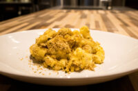 Mac & Cheese Plate of Mac & Cheese with rigatoni tubes coated in creamy sauce and topped with toasted breadcrumbs.