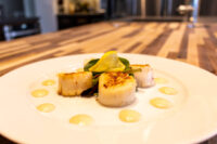 Scallops with Spicy Sauce Seared scallops with spicy sauce dots and a green garnish on a white plate.