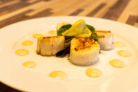 Scallops with Spicy Sauce Three seared scallops on greens with a lemon wedge and dots of pale sauce, plated as Scallops with Spicy Sauce.