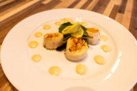 Scallops with Spicy Sauce Four seared scallops with lemon twist, arugula, and dots of spicy sauce on a white plate.