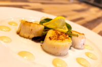 Scallops with Spicy Sauce Three seared scallops with dressing dots, arugula and a lemon slice, plated as Scallops with Spicy Sauce