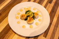 Scallops with Spicy Sauce Seared scallops with greens and a lemon slice, ringed by dots of pale sauce, plated as Scallops with Spicy Sauce.