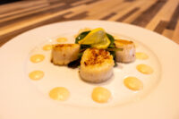 Scallops with Spicy Sauce Three seared scallops on white plate with sauce dots, lemon slice and arugula, Scallops with Spicy Sauce