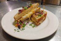 Brie Grilled Cheese Brie Grilled Cheese halves on a white plate, melted cheese oozing out, garnished with microgreens